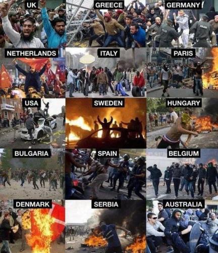 IMG_20250808_233329_521