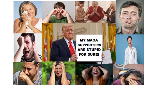 490984137_1606034167465722_7117460324152578827_n