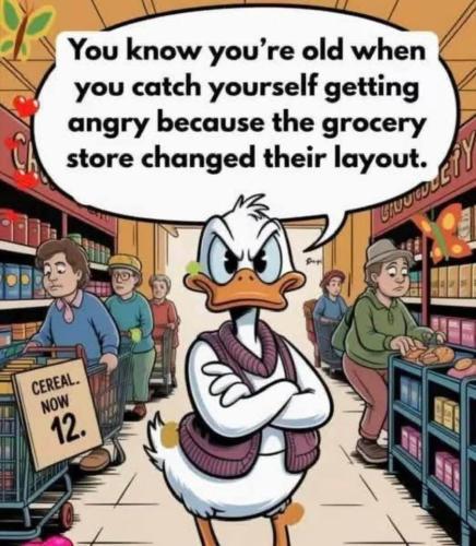 FB_IMG_1755625225053