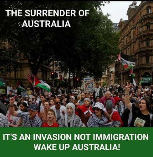 FB_IMG_1754191232086