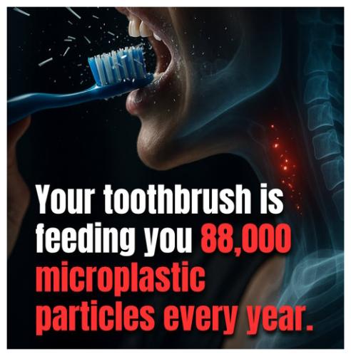 524713973_1245110577414023_5521673036858341799_n