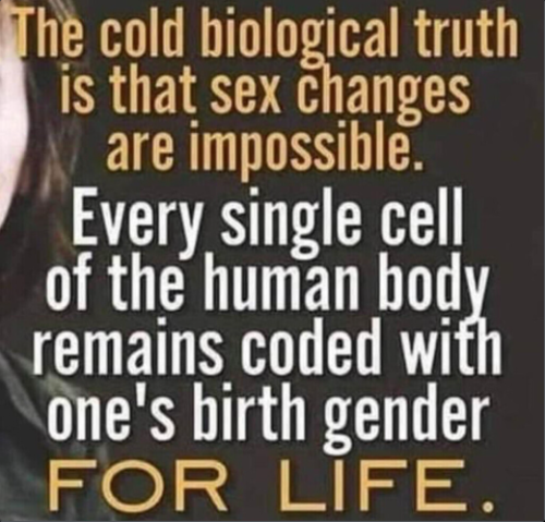 Screenshot 2025-08-01 081618