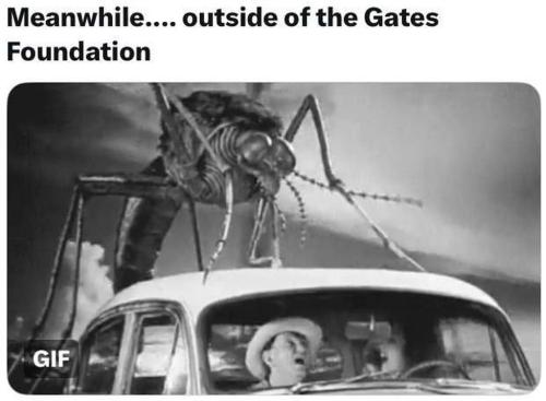 a5ba44c7-3cb5-4e47-ba57-33086f7c9cce