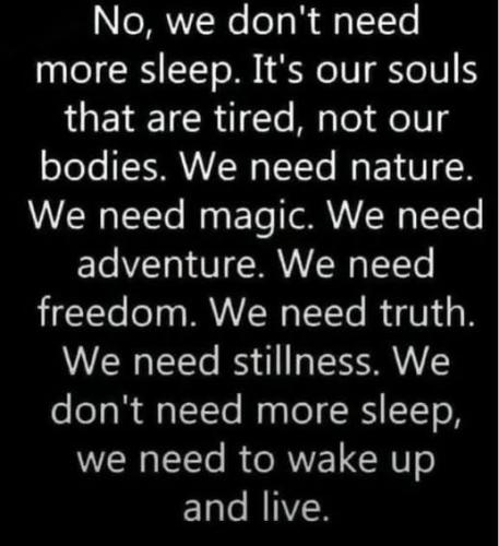 536359024_656321074152139_1932450331805053187_n