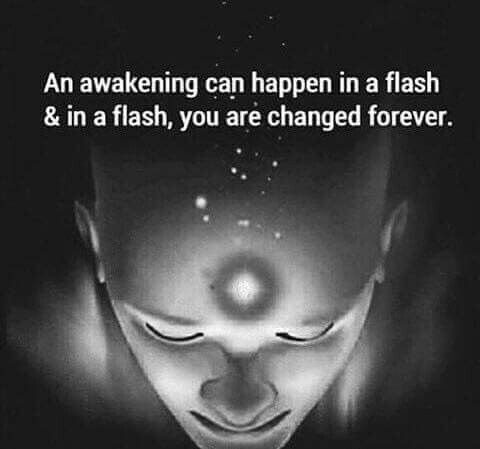 f9921d853e8e7e48309d646822fccc3e