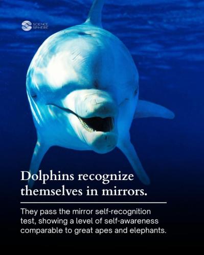 ed93588c-5e59-4f01-bcca-7835270c2fa1