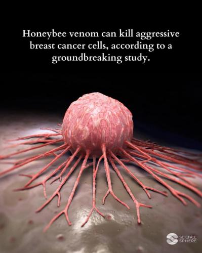 3fde5e5c-8475-41ed-9f4b-307fbb8dd496