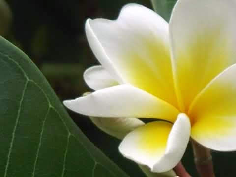 IMG_20190315_223954_03_Original