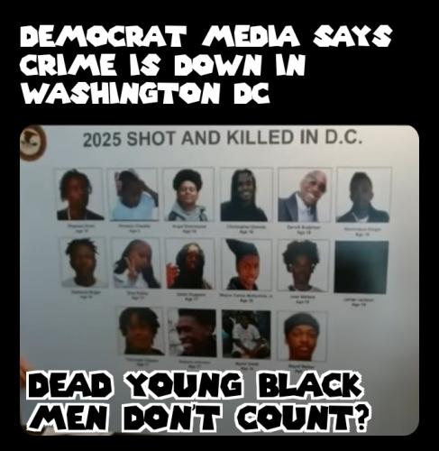 ZomboMeme 12082025225923