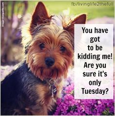 d6ed1b910a94ab931ddcd3088b06bef7