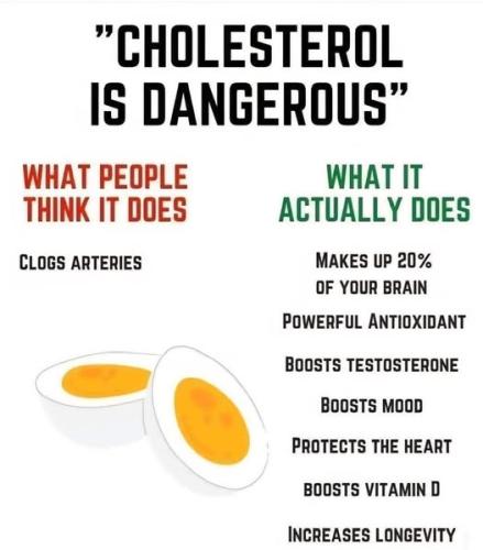 ,          ,  0424775766_746362