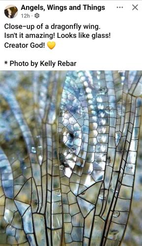 Screenshot_20250808-223320_Facebook