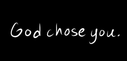 2ac6ae3b3992404021ae4e29d4e9a954