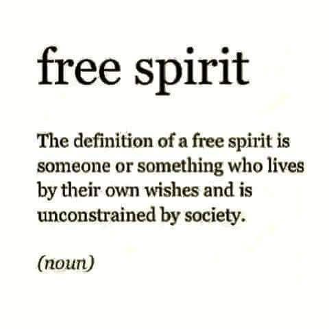 532648425_772654882317373_179064349152585802_n