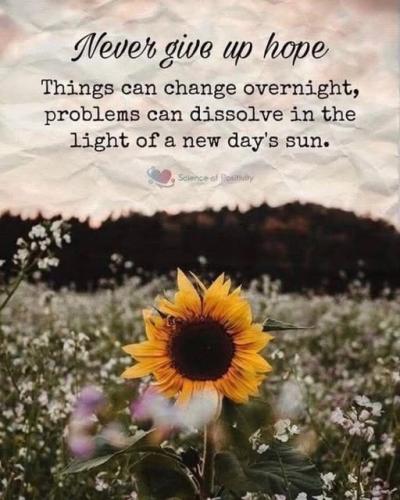 532447353_122223261854088259_5882516428939647100_n