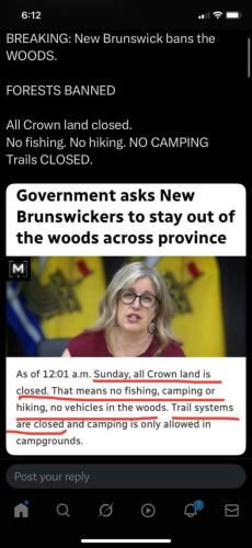 new brunswick forests