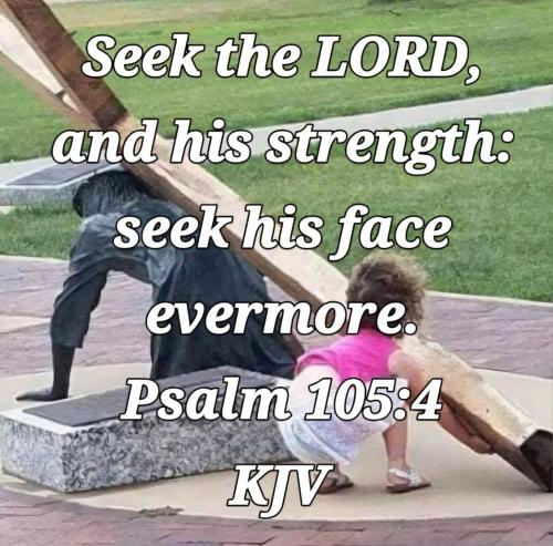 4cc126ea-a633-40b5-9ceb-339c885c61b7