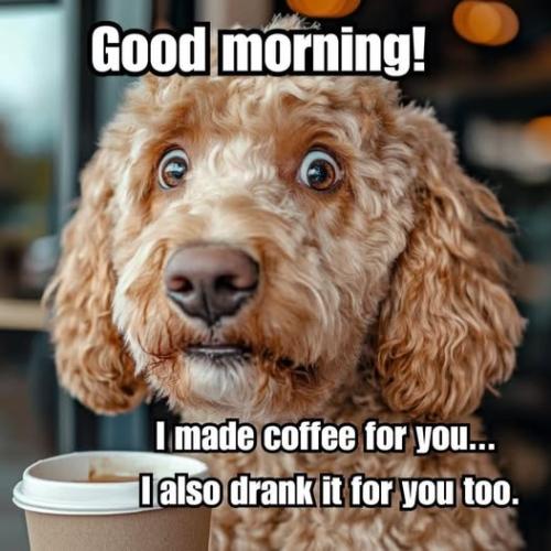 528373303_2003611767049086_2237837344193592805_n