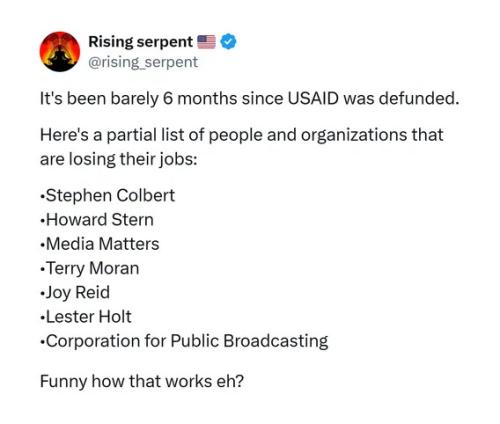 LAMESTREAM MEDIA USAID