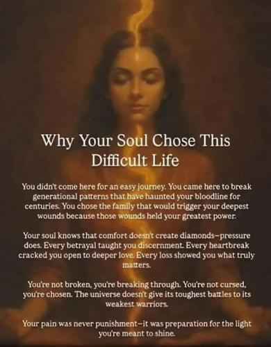 533357035_1323710523092963_4685970425188752191_n