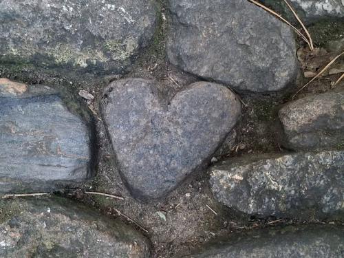 527911496_10161796043935186_1534165610115773593_n