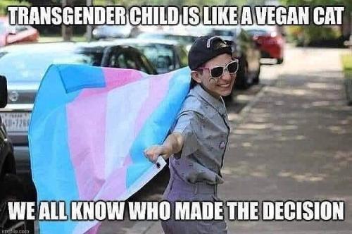 FB_IMG_1755608883135