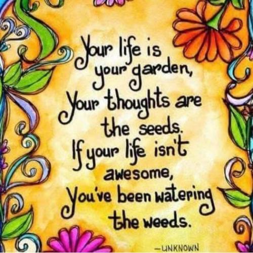 540509108_10164561941189874_2621228441750624891_n