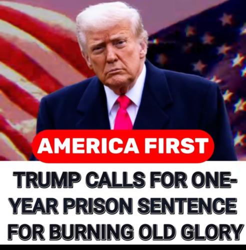 44CAAF4C-DD80-4490-BB24-D6D5DD43973E