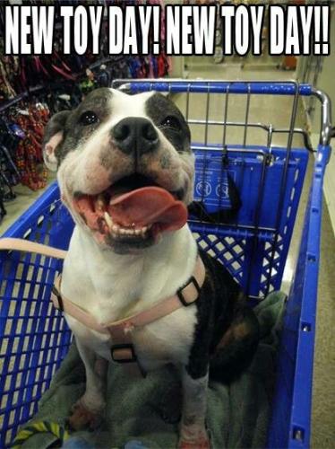 f318c9384db2231b4bd83080d9684786