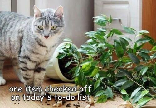 one-item-checked-off-on-todays-do-list