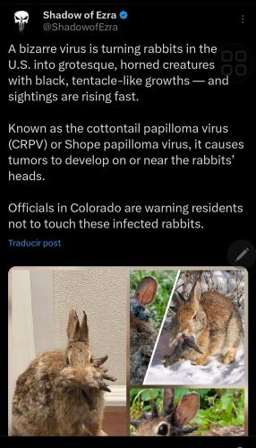 Screenshot_20250813_055553_X