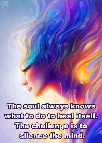 a448007e6a128d0df689da144d7f502b