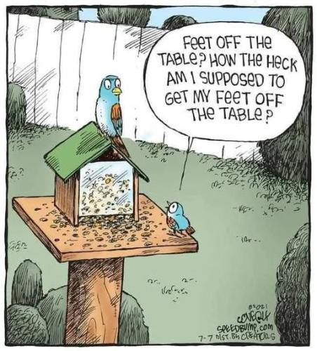 529940430_1319298080204818_472447342634193084_n