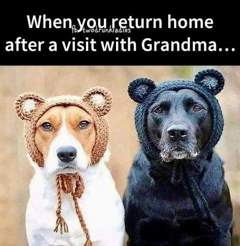 8ef45231499ccfaf51c9e573cc3176d5