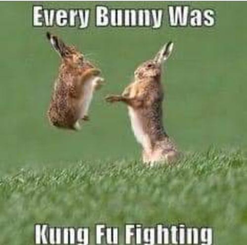 Screenshot_20250823_071241_Gallery