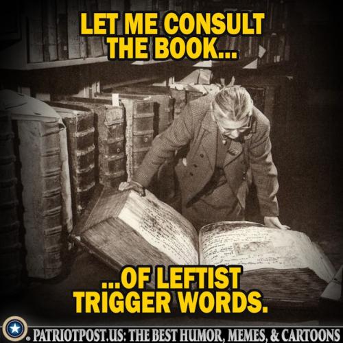 01K2SHMD914AE8SD535CBEQZWE