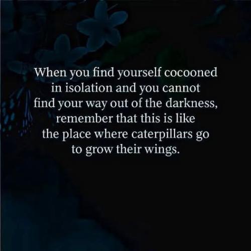 527016087_762964589953069_788195679088053491_n