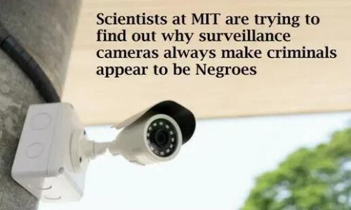 appear-to-be-negroes-cameras