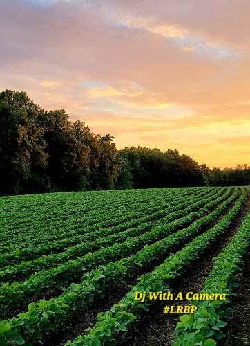 Screenshot_20250822_064822_Gallery