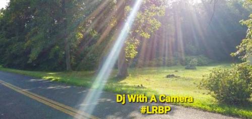 Screenshot_20250803_064204_Gallery