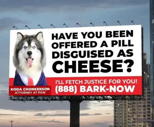 pill-disguised-as-cheese