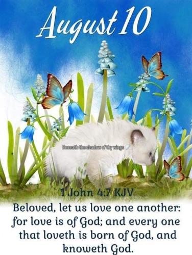 530541719_18020300309743683_4910619264931108221_n