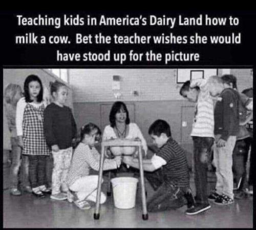 milking-a-cow