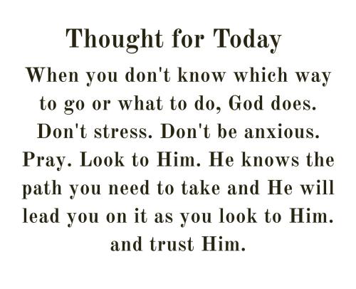 539578673_790115060189509_7912709753241209866_n