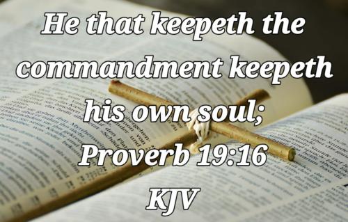 2ca10c93-86b3-40f1-a37f-ae28b4493a65