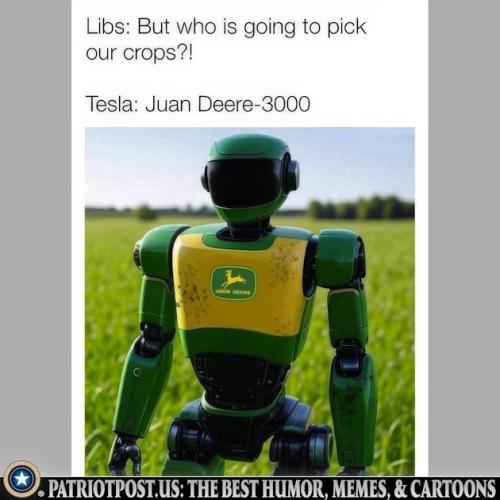 01K2E4SA58DE845X81R1BW7G4N