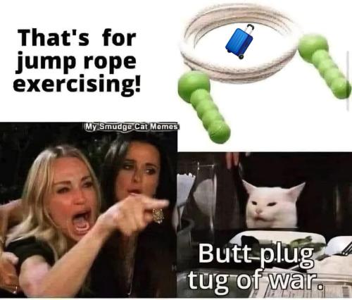 9313D7E2-BE1A-4786-9149-F254ECE92834