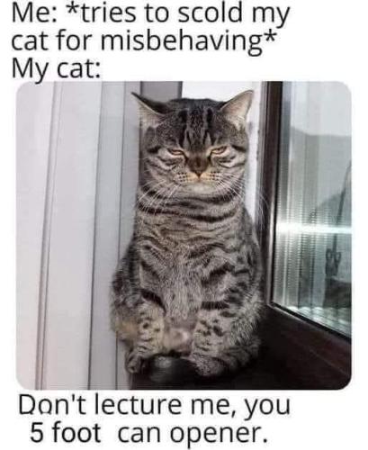 FB_IMG_1755623538100