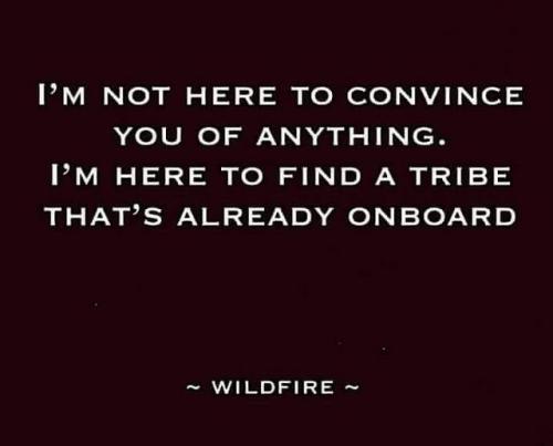 535610844_1334971451301101_8211326490088237844_n