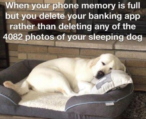 98aa8e4ee08a22c7d6f36f57ff2f6340